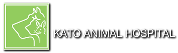 Kato Animal Hospital