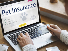 Is Pet Insurance Worth It?